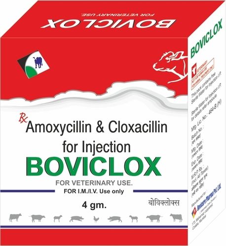 Amoxycillin Cloxacillin Injection For Veterinary Use Only Ingredients: Chemicals