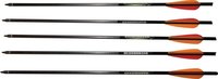 Barnett 20inch Arrow Headhunter