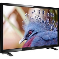 Onida 60.9cm (24 Inch) HD Ready LED TV