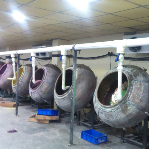 Gems Plant