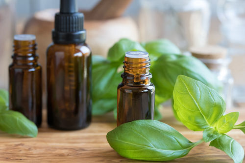 Basil Essential Oil