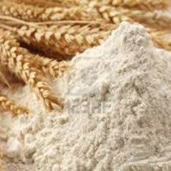 Wheat Flour