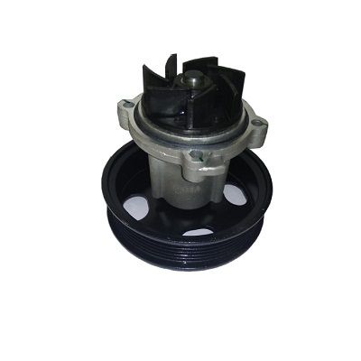 Water Pump Assy - Palio