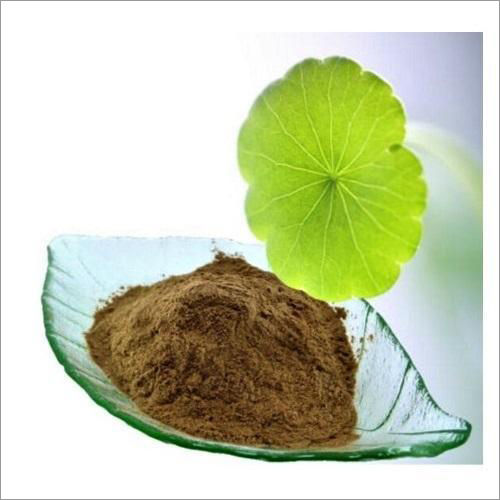 Herbal Product Brhami Centella Asiatica Powder