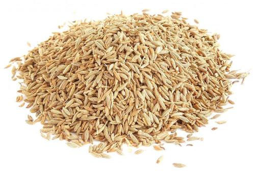 Light-brown Cumin Seed