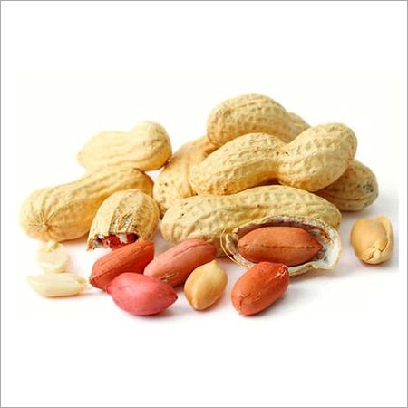 Various Groundnut