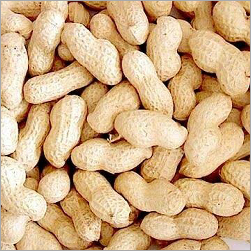 In Shell Groundnut