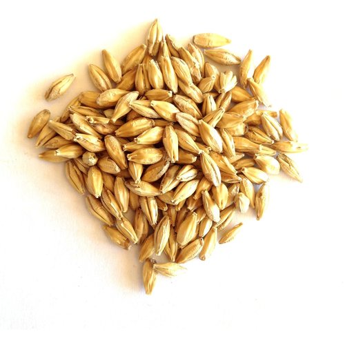 Barley Seeds Broken Ratio (%): 2%