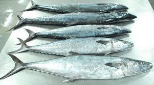 Frozen King Fish