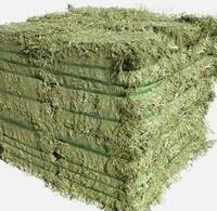 Alfafa Hay,Hay Animal Feed, Hay Feed