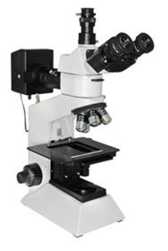 Trinocluar Metallurgical Microscope