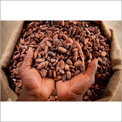 Raw Coffee Beans