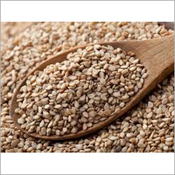 Sesame Seed