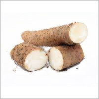 Raw Yam - Elongated Light Brown Root Vegetable, Versatile Nutritious Culinary Use
