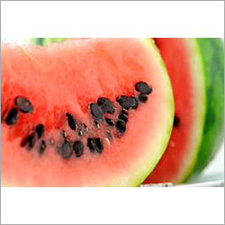 Water Melon