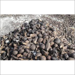 Dried Palm Kernel Shells - Palm Kernel, Variable Size, Low Moisture | Low Ash Content, High Calorific Value, Renewable Sustainable Fuel