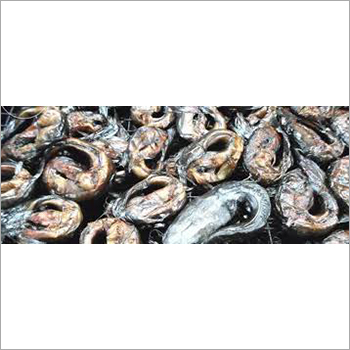 Dried Cat Fish