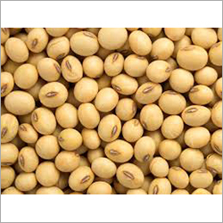 Soya Beans