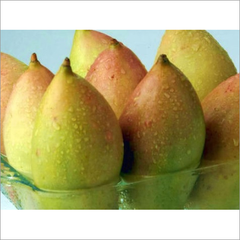 TPP Mango