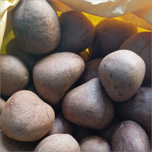 Copra Dry Coconut