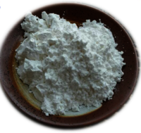 1-Boc-4-Methylenepiperidine 159635-49-1