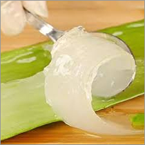 Herbal Aloe Vera Pulp