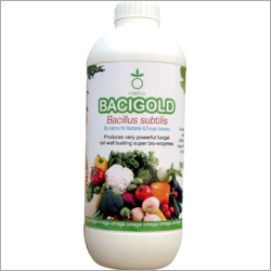 Bacillus Subtilis