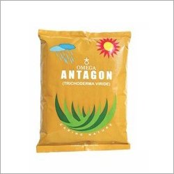 Antagon Trichoderma