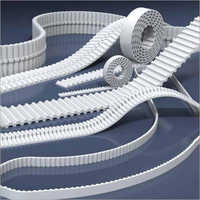 Timing Belt