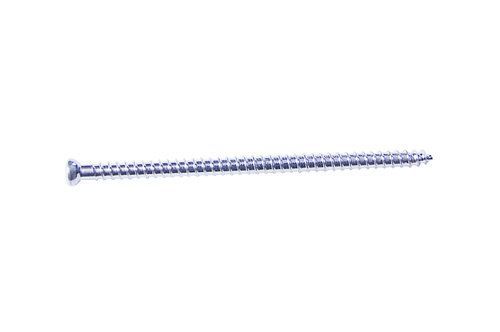 Cancellous Screw