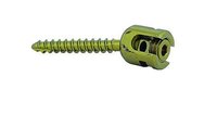 Polyaxial  Screw