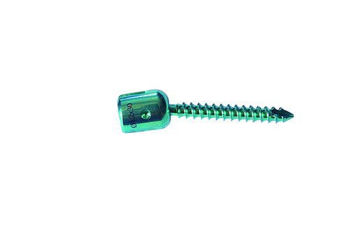 Polyaxial  Screw