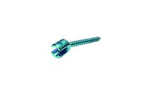 Polyaxial  Screw