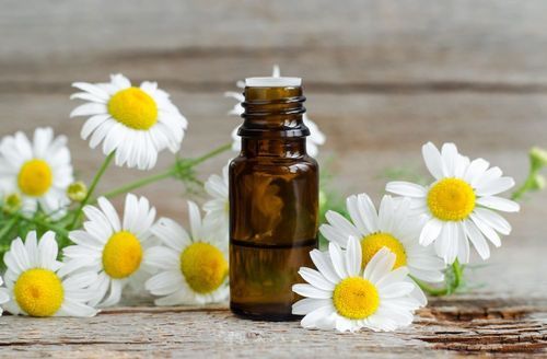 Chamomile Oil