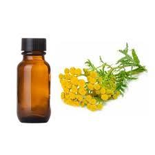 Tansy Oil Age Group: Adults