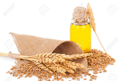 Wheat Germ Oil Age Group: All Age Group