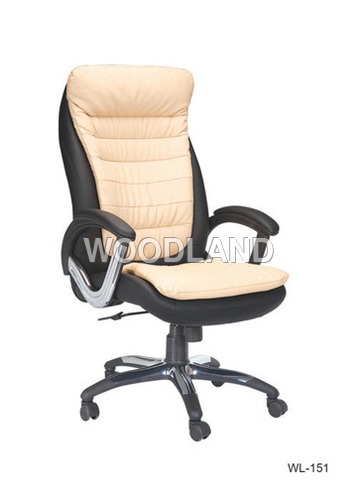 Director Chair Director Chair