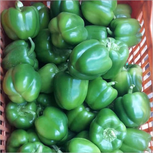 Green Capsicum Shelf Life: 7 Days