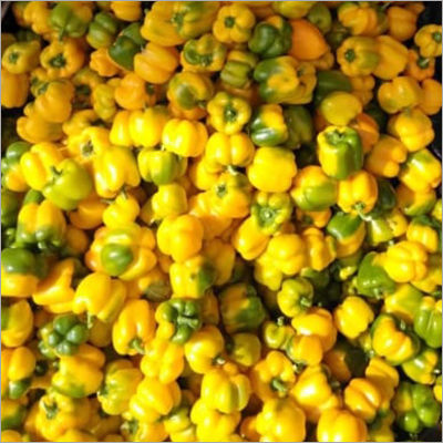 Yellow Bell Pepper Shelf Life: 1-2 Week