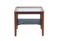 Wooden center table with iron rack paragon