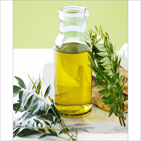 Curry Leaf Oil By RIYA AGRO PRODUCTS