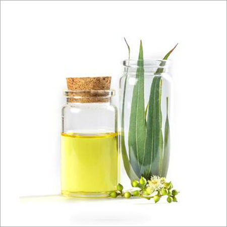 Eucalyptus Oil