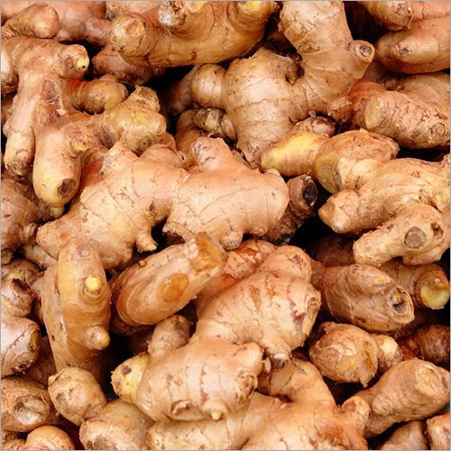 Fresh Ginger