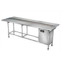 SS Table Type Conveyor