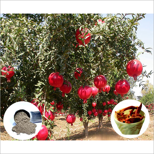 Pomegranate Extract By SRIVARI NATURAL HERBS