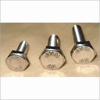 S.S.  Hex Bolt