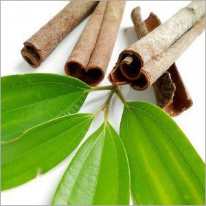 Boost Memory Cinnamon Leaf Oil