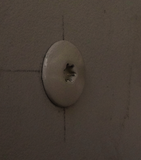 Stainless Steel Facade Screw