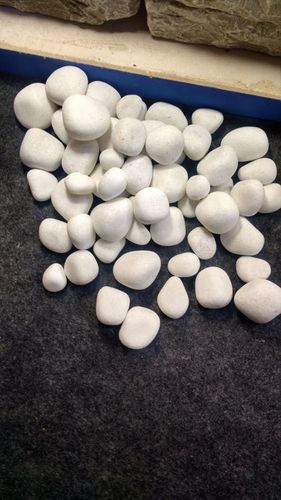 High Polished White Natural Pebbles & Cobbles Stone for Garden Decoration