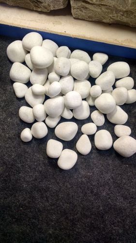 Premium Polished And Unpolished Tumble White Natural Pebbles And Cobbles Stone For Garden Decoration